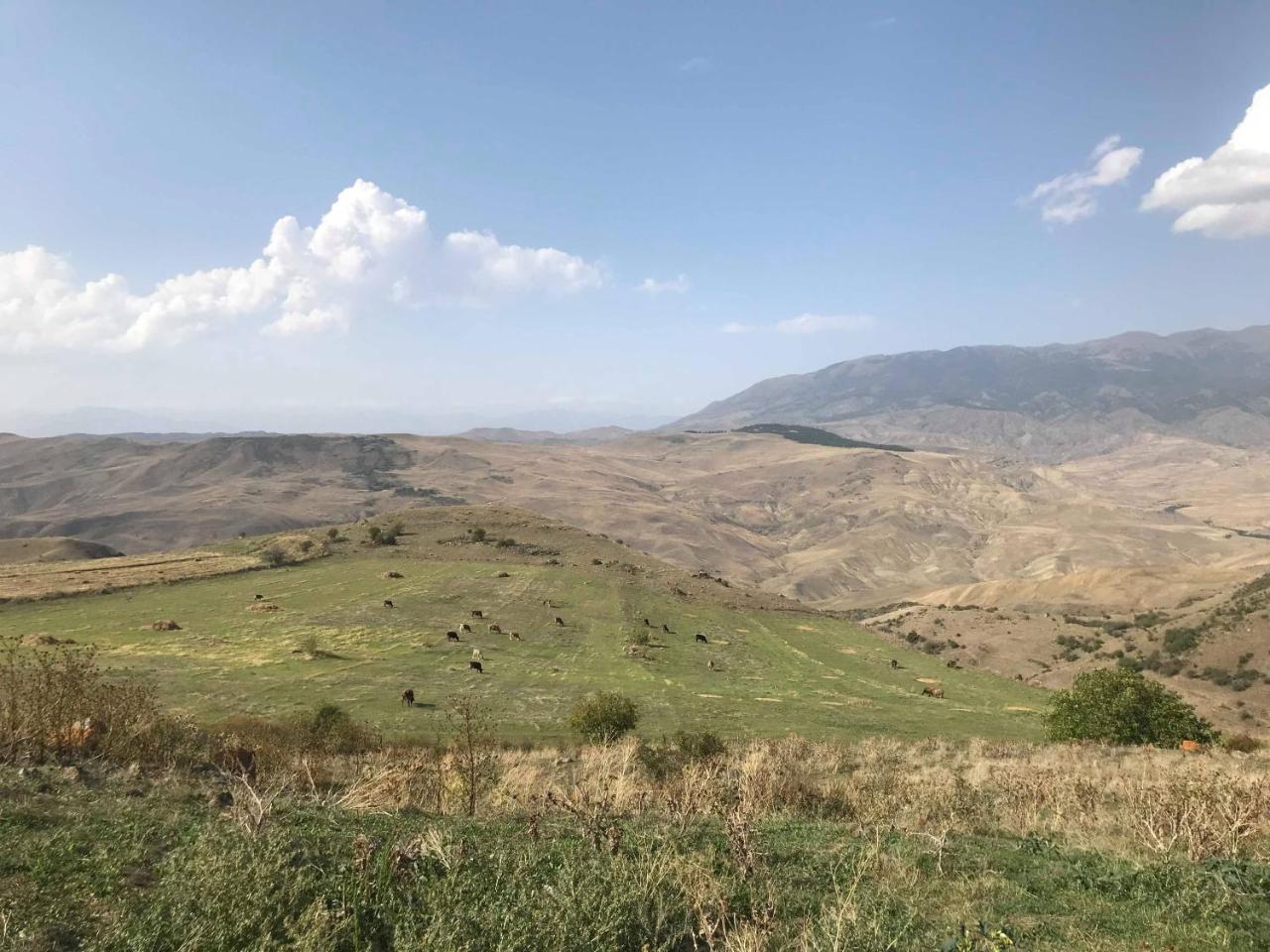 Oasis Daire Aspindza Dış mekan fotoğraf