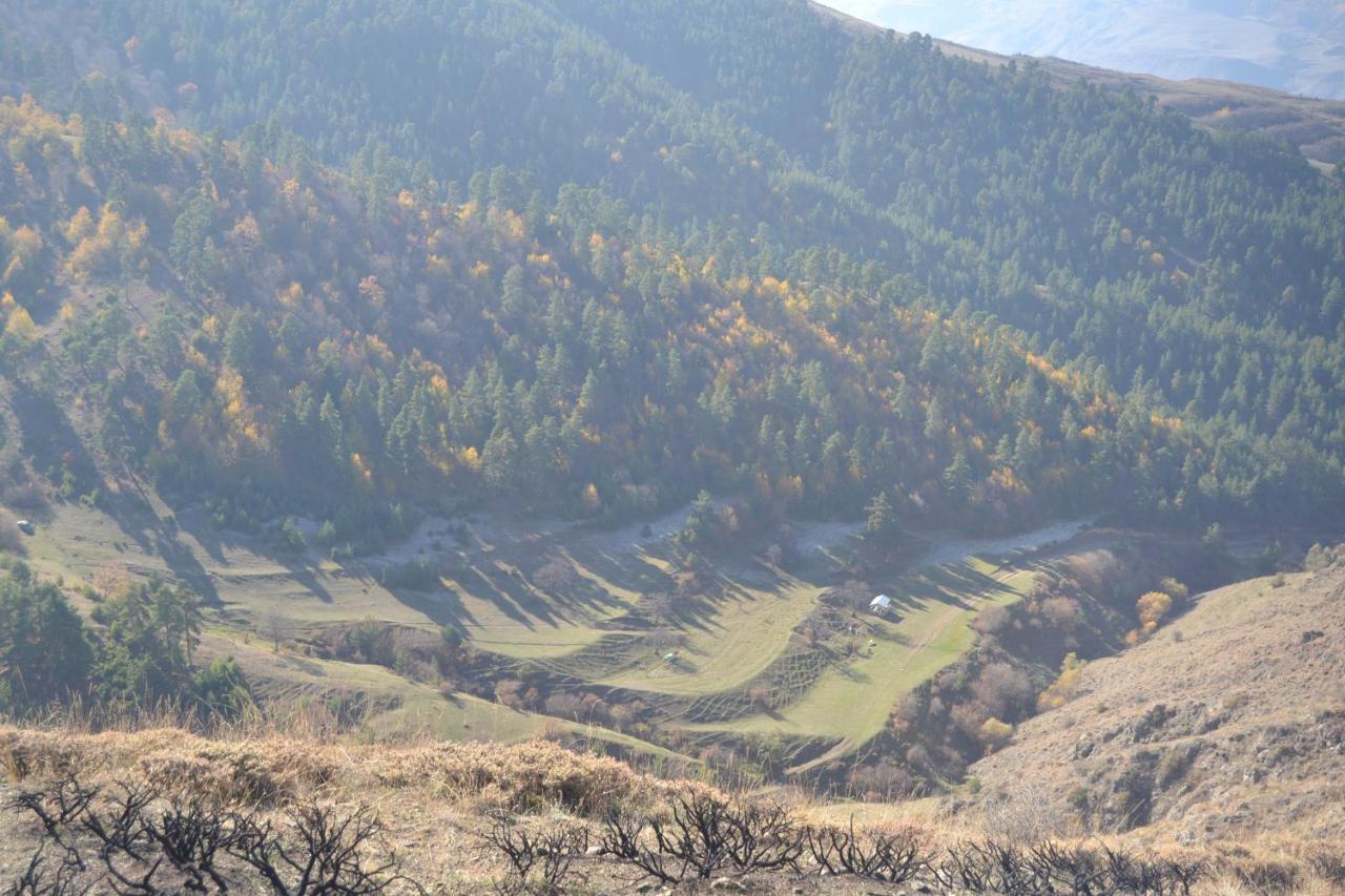 Oasis Daire Aspindza Dış mekan fotoğraf