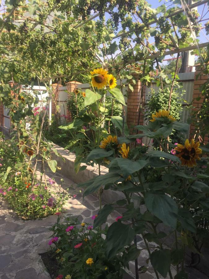 Oasis Daire Aspindza Dış mekan fotoğraf