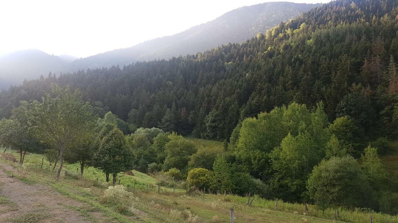 Oasis Daire Aspindza Dış mekan fotoğraf